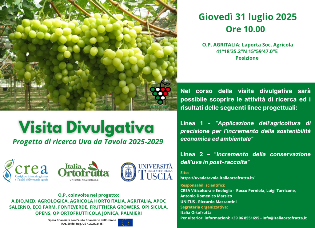 Durante la visita divulgativa è stato possibile scoprire le attività ed i rilievi che vengono svolti nell'ambito della Linea 1 - Applicazione dell'agricoltura di precisione e della Linea 2 - "Incremento conservazione in post raccolta" del progetto di ricerca Uva da Tavola